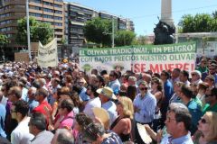 manifestacionaceitejaen-4