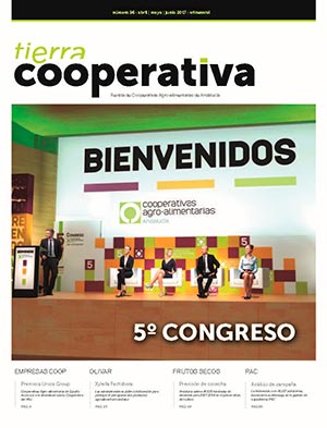 Revista Nº96