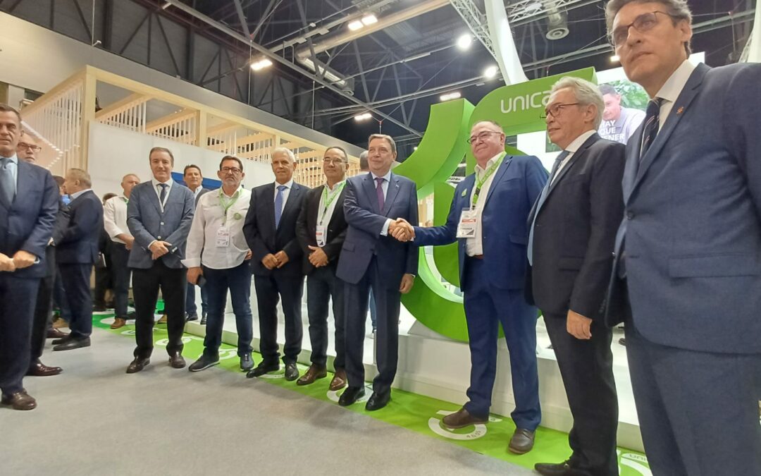 Cooperativas andaluzas exhiben su liderazgo hortofrutícola mundial en Fruit Attraction con productos de calidad y sostenibles