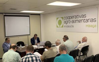 Las cooperativas agroalimentarias de Málaga logran una facturación de 1.785 millones en 2023
