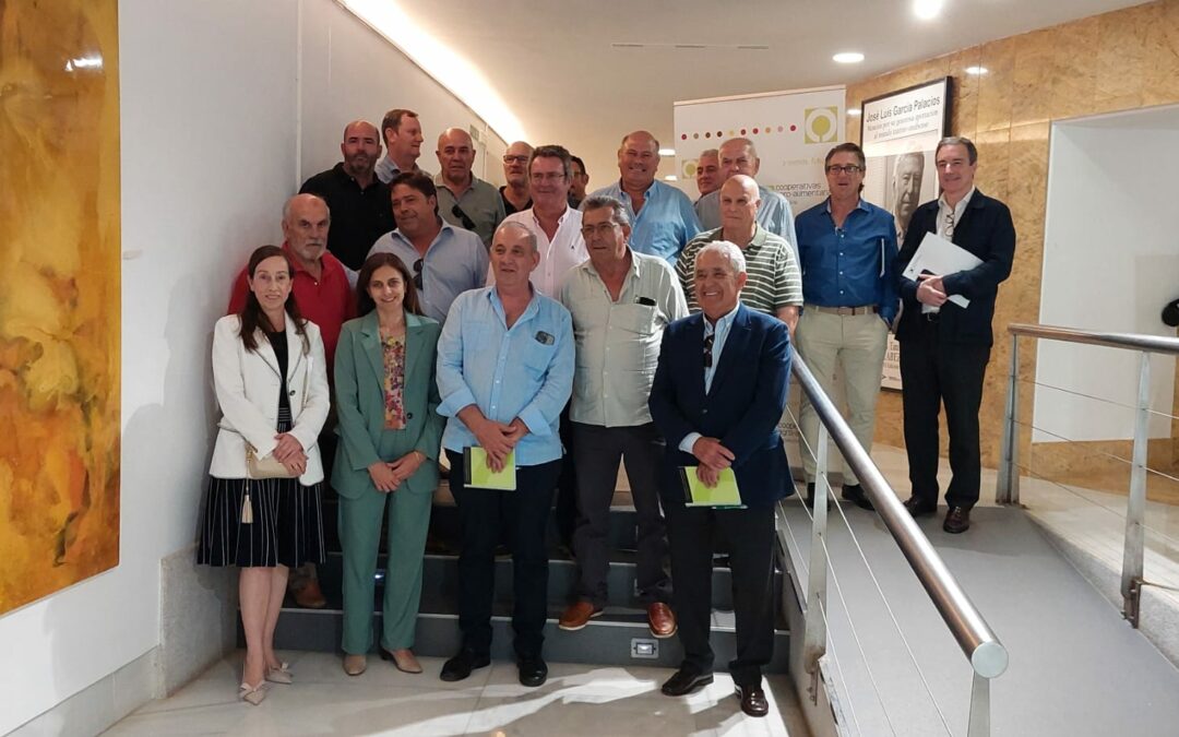 Las cooperativas agroalimentarias de Huelva alcanzan una facturación de 1.159 millones en 2023