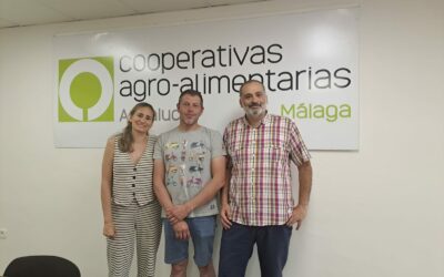 Finaliza el Programa CULTIVA en Málaga tras acoger a nueve jóvenes que han aprendido sobre el modelo cooperativo
