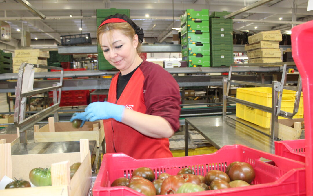 Las cooperativas agroalimentarias aportan un 6,2%  al PIB de Andalucía