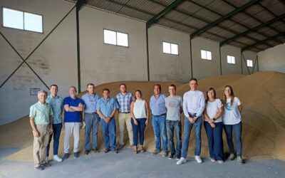 Andalucía impulsa un proyecto para liderar las variedades de trigo blando de calidad y suministrar a la industria harinera