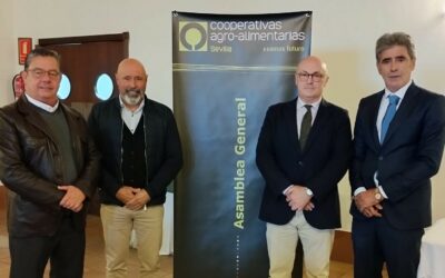 Cooperativas Agro-alimentarias de Sevilla anima a buscar sinergias para ganar músculo y liderar la creación de riqueza en la provincia, durante su Asamblea General